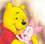 The Many Adventures Of Winnie The Pooh