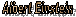 Albert Einstein