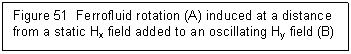 Text Box: Figure 51 Ferrofluid rotation (A) induced at a distance from a static Hx field added to an oscillating Hy field (B)
