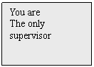 Text Box: You are 
The only
supervisor
