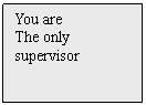 Text Box: You are
The only
supervisor