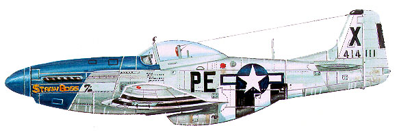 p51profilehq.jpg (44803 bytes)