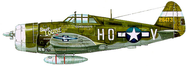 p47profile487.jpg (55088 bytes)