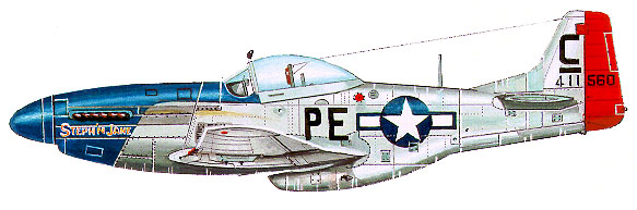 p51profile328.jpg (46901 bytes)