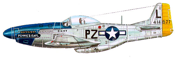 p51profile486.jpg (46600 bytes)