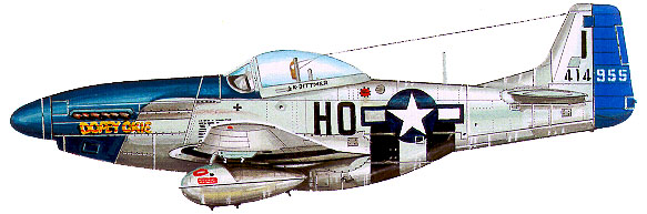 p51profile487.jpg (47904 bytes)