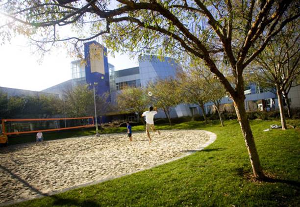 TIME Photo Essay: Life in the Googleplex: Inside Google Headquarters

. Google employees take an afternoon volley ball break. The corporation's Mountain View campus is at once a flurry of playful activity and creative technological innovation.

. PHOTO BY EROS HOAGLAND / REDUX FOR TIME