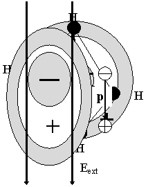 width=80