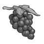 grapes