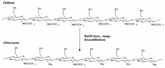 Deacetilinimas2