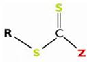 RAFT-STRUCTURE