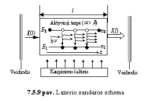 Text