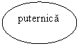 Oval: puternica