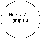 Oval: Necesitatile grupului
