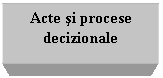 Text Box: Acte si procese decizionale