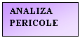 Text Box: ANALIZA PERICOLE