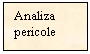 Text Box: Analiza pericole