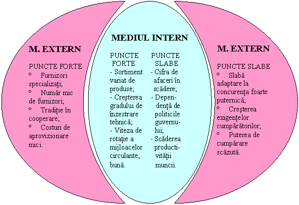 Moon: M. EXTERN

PUNCTE SLABE
� Slaba adaptare la concurenta foarte puternica;
� Cresterea exigentelor cumparatorilor;
� Puterea de cumparare scazuta.
