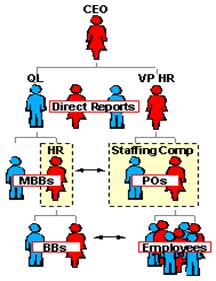 Six Sigma Organizational Architecture