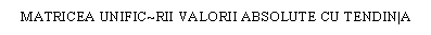 Text Box: MATRICEA UNIFIC~RII VALORII ABSOLUTE CU TENDIN|A