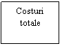 Text Box: Costuri
totale
