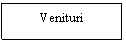 Text Box: Venituri