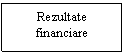 Text Box: Rezultate financiare