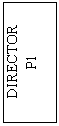 Flowchart: Process: DIRECTOR
P1
