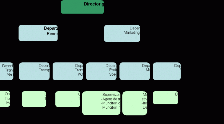 Organization Chart