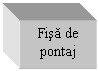 Text Box: Fisa de pontaj