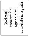 Text Box: Societati comerciale agricole cu activitate integrala