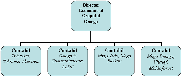 Organization Chart