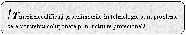 Rounded Rectangle: !Tinerii necalificati si schimbarile in tehnologie sunt probleme care vor trebui solutionate prin instruire profesionala.

