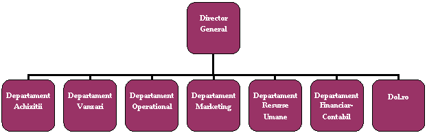 Organization Chart