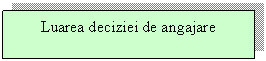 Text Box: Luarea deciziei de angajare