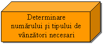 Cube: Determinare
numarului si tipului de
vanzatori necesari
