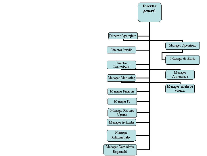 Organization Chart