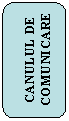 Rounded Rectangle: CANULUL DE COMUNICARE

