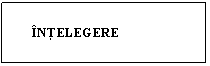 Text Box:        
      INTELEGERE
