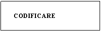 Text Box:      CODIFICARE
