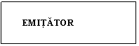 Text Box:   
      EMITATOR
