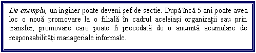 Text Box: De exemplu, un inginer poate deveni sef de sectie. Dupa inca 5 ani poate avea loc o noua promovare la o filiala in cadrul aceleiasi organizatii sau prin transfer, promovare care poate fi precedata de o anumita acumulare de responsabilitati manageriale informale. 