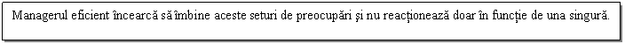 Text Box: Managerul eficient incearca sa imbine aceste seturi de preocupari si nu reactioneaza doar in functie de una singura.
