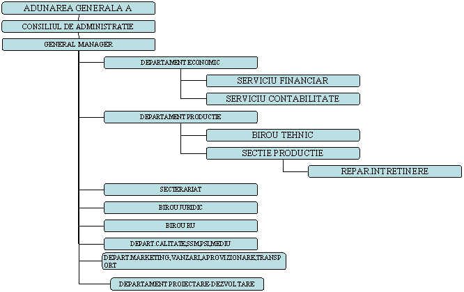 Organization Chart