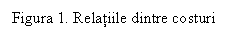Text Box: Figura 1. Relatiile dintre costuri