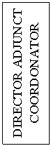 Text Box: DIRECTOR ADJUNCT COORDONATOR