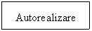 Text Box: Autorealizare

