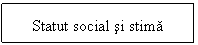 Text Box: Statut social si stima
si stima

