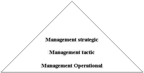 Flowchart: Extract: Management strategic

Management tactic

Management Operational
