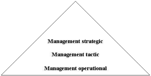Flowchart: Extract: Management strategic

Management tactic 
 
Management operational
